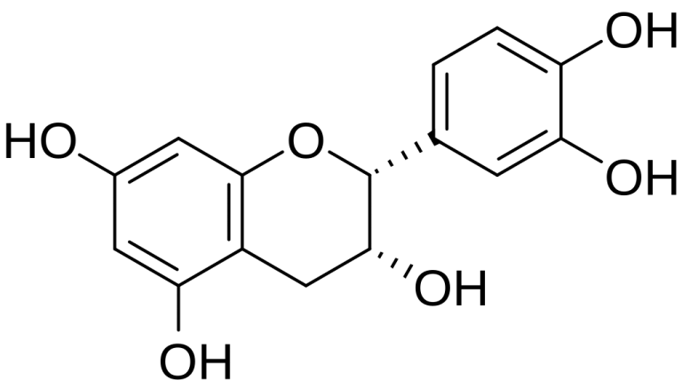 (-)-epicatechin molecule, main ingredient in Mitozz