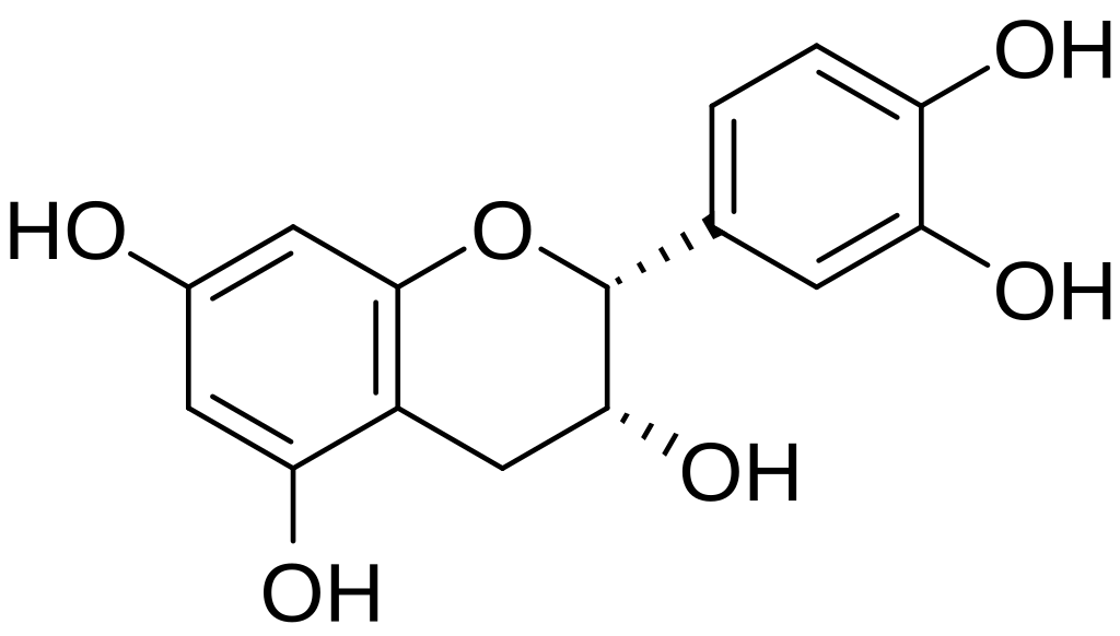 Chemical structure of (–)-epicatechin, a flavanol found in cacao and other plant foods studied for endothelial support.