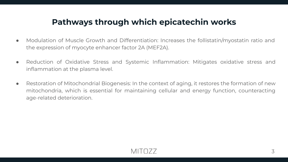 Geriatrics-Mitozz (2)