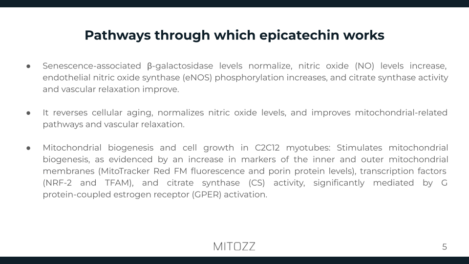 Internal Medicine-Mitozz (4)