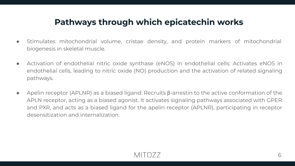 Internal Medicine-Mitozz (5)