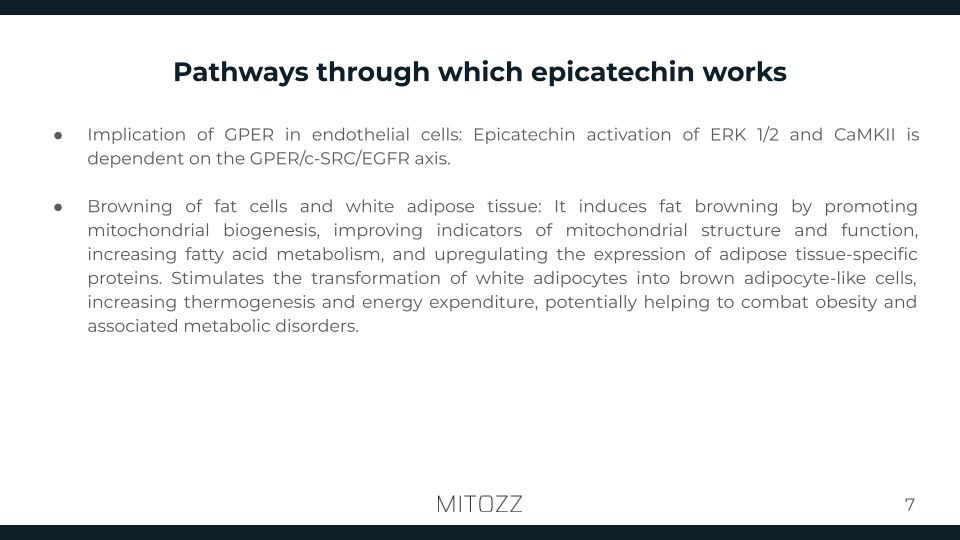 Internal Medicine-Mitozz (6)