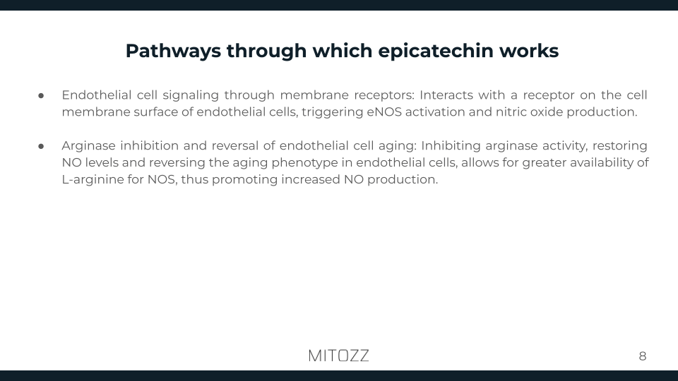 Internal Medicine-Mitozz (7)