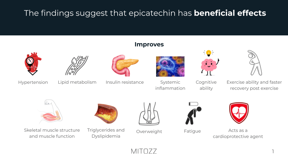 Internal Medicine-Mitozz