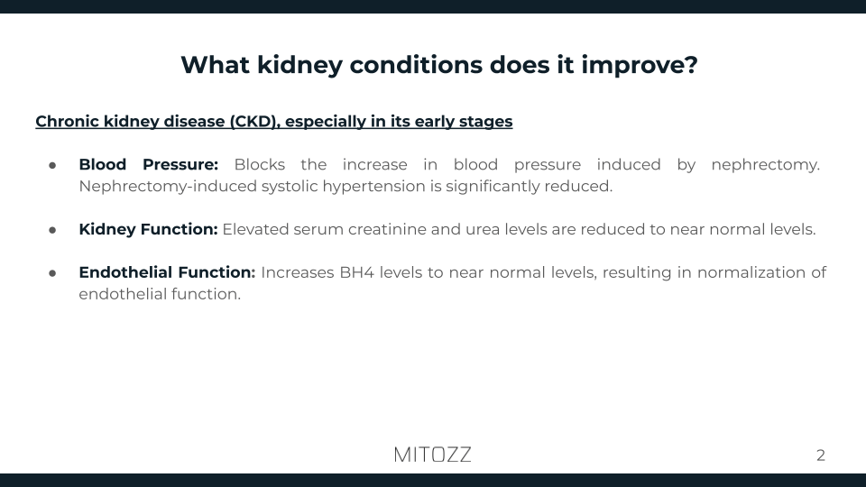 Nephrology-Mitozz (1)