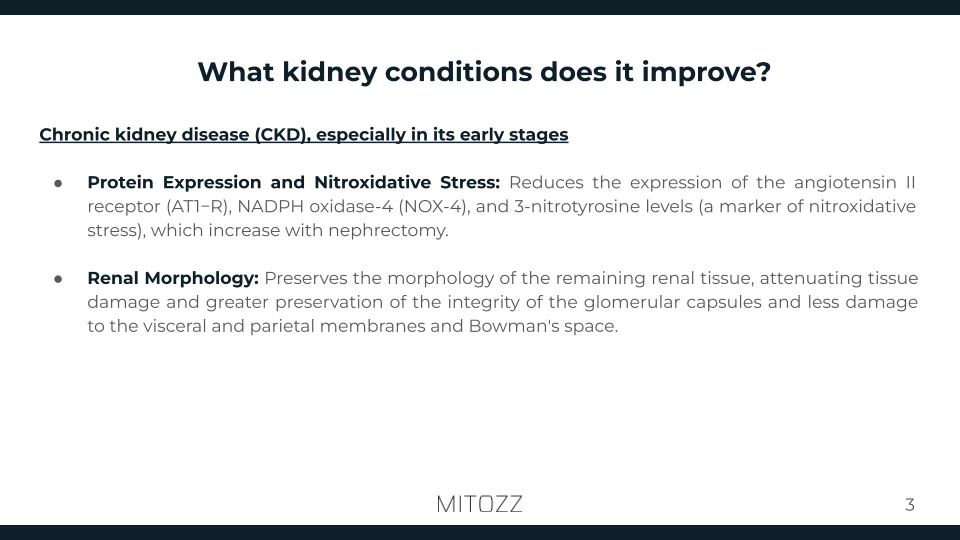 Nephrology-Mitozz (2)