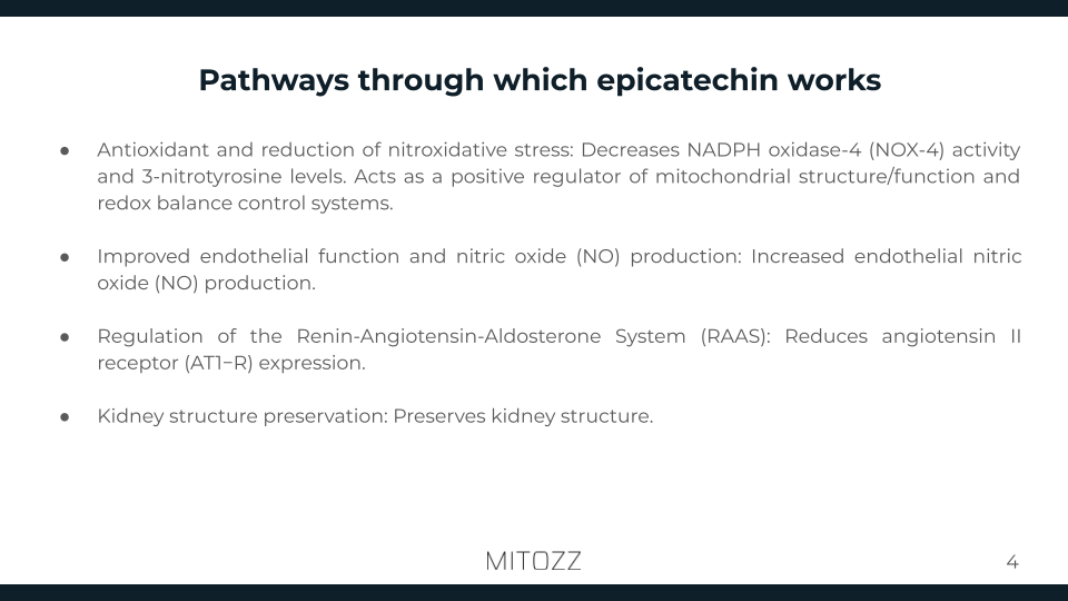 Nephrology-Mitozz (3)