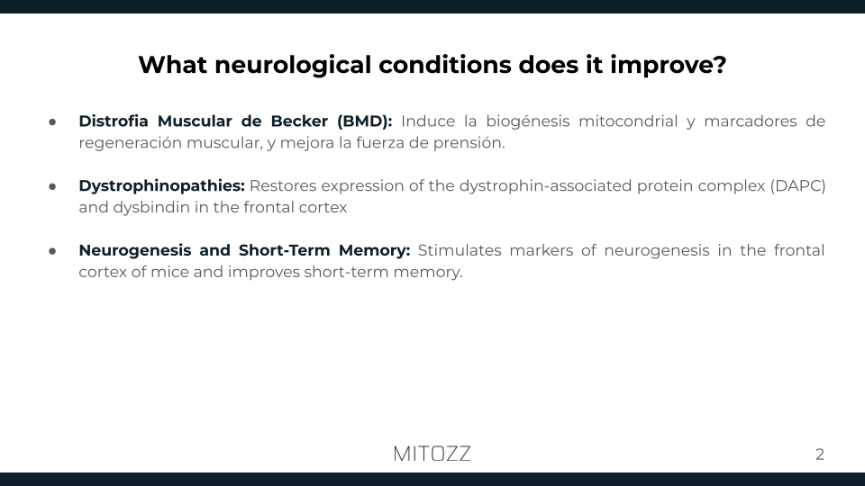 Neurology-Mitozz (1)