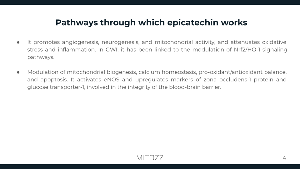 Neurology-Mitozz (3)