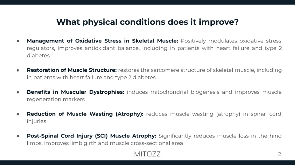 Physical rehabilitation-Mitozz (1)