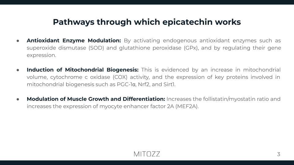 Physical rehabilitation-Mitozz (2)