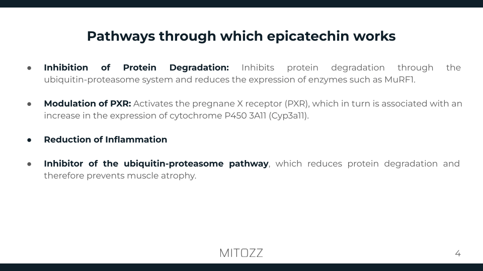 Physical rehabilitation-Mitozz (3)