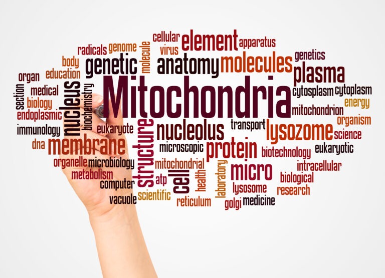 Word cloud centered on “mitochondria” with related scientific terms such as energy, metabolism, proteins, and cellular structure, illustrating mitochondrial health education in the Mitozz context, with insights from Mani Agrawal, Guillermo Ceballos, and Francisco Villarreal