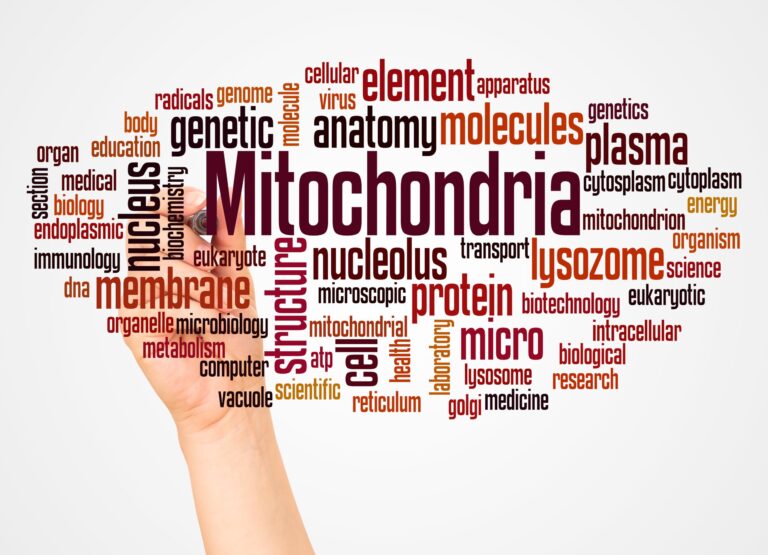 Word cloud centered on “mitochondria” with related scientific terms such as energy, metabolism, proteins, and cellular structure, illustrating mitochondrial health education in the Mitozz context, with insights from Mani Agrawal, Guillermo Ceballos, and Francisco Villarreal