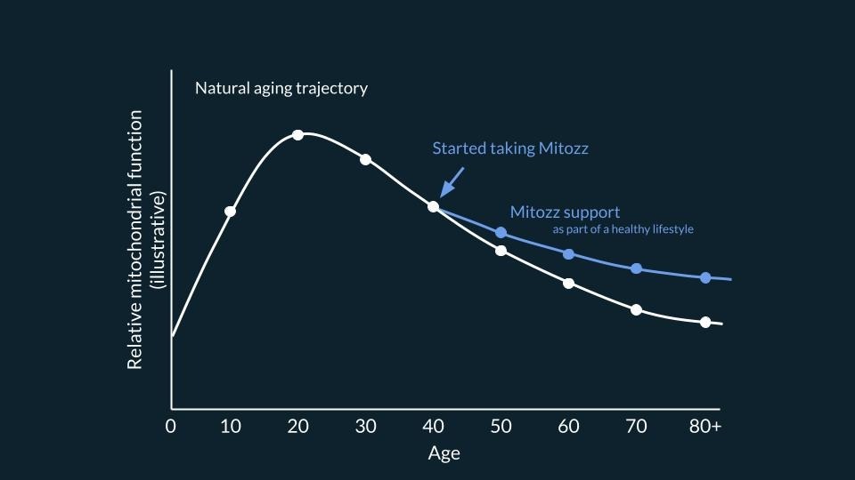 Illustrative graph showing relative mitochondrial function across age, comparing a natural aging trajectory with a period of sustained Mitozz support over time. Mani Agrawal, Guillermo Ceballos, Francisco Villarreal