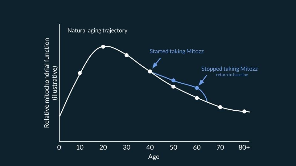 Illustrative graph showing changes in relative mitochondrial function across age, with a natural aging trajectory, a period of Mitozz support, and a gradual return toward baseline after Mitozz support is discontinued. Mani Agrawal, Guillermo Ceballos, Francisco Villarreal