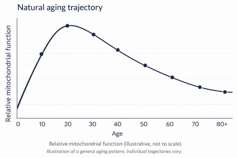Estimated natural mitochondrial decline trajectory mapped by age