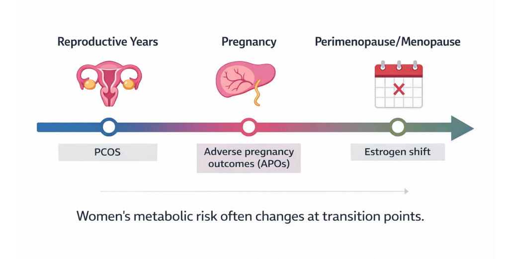 Timeline graphic showing women’s metabolic risk across life stages, reproductive years (PCOS), pregnancy (adverse pregnancy outcomes/APOs), and perimenopause/menopause (estrogen shift), highlighting transition points.