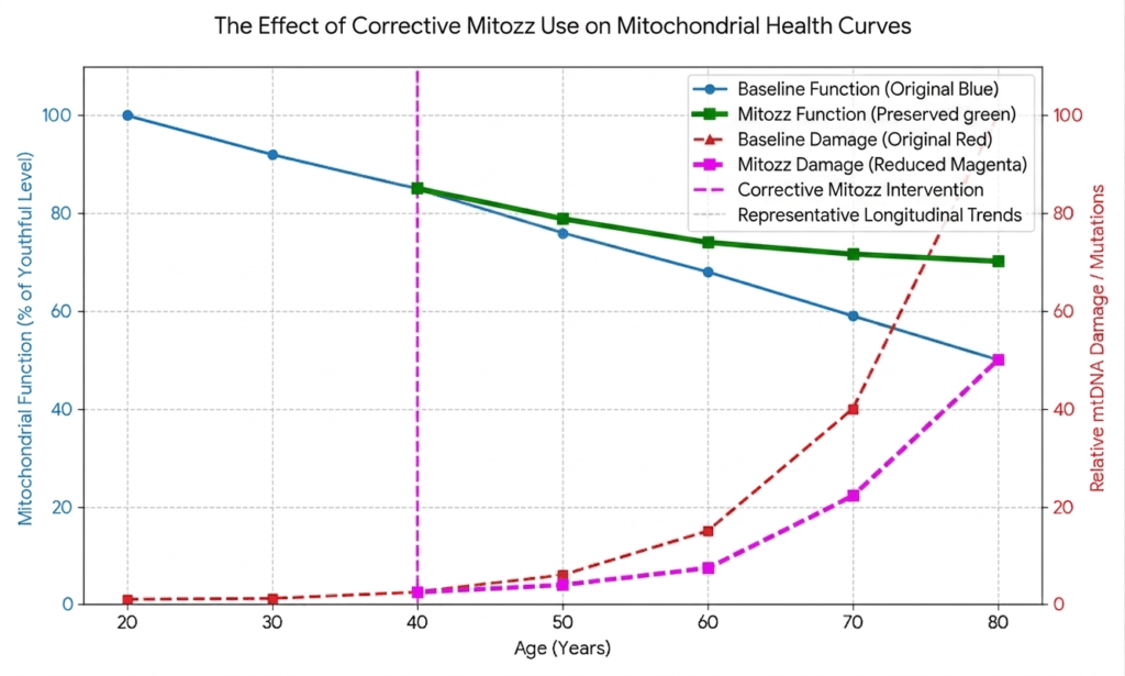 A scientific graph showing the corrective impact of Mitozz starting at age 40. A vibrant green line diverges from the baseline to show preserved energy function, while a magenta dashed line shows significantly reduced and delayed mtDNA damage compared to the natural aging trajectory.