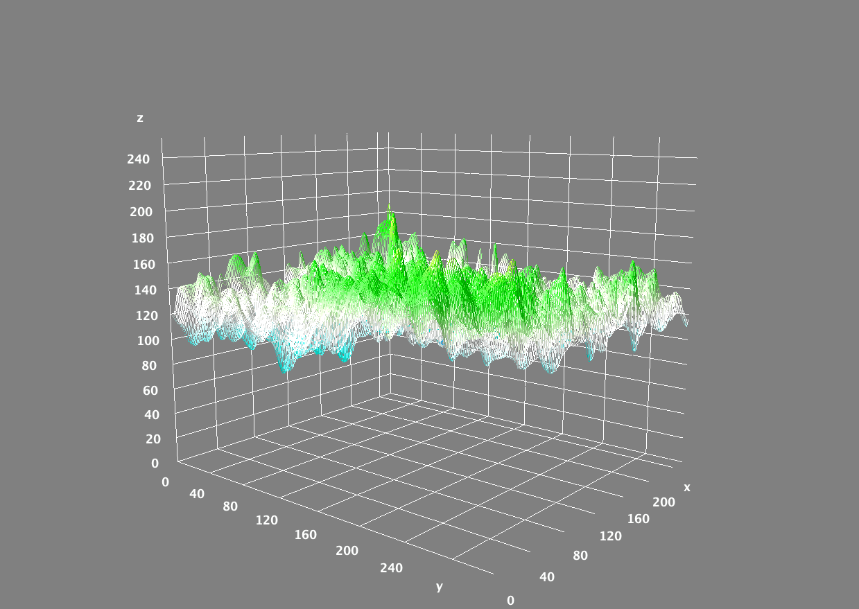 Three-dimensional skin-surface map before use of the epicatechin serum.
