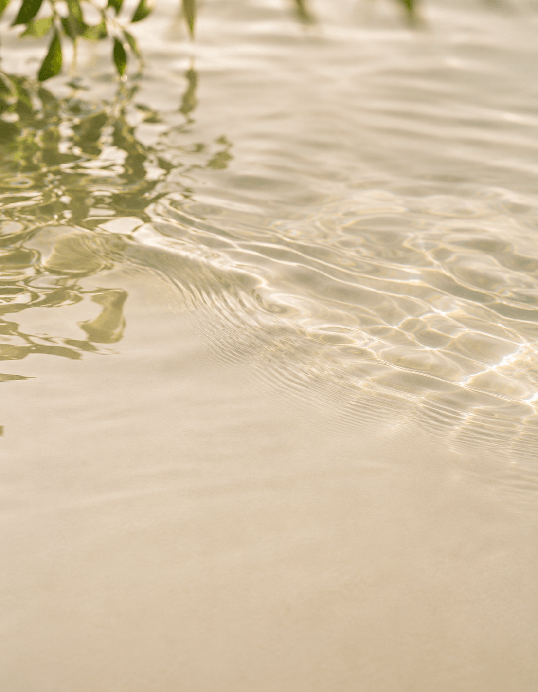 Gentle sunlit water ripples with soft green botanical reflections.