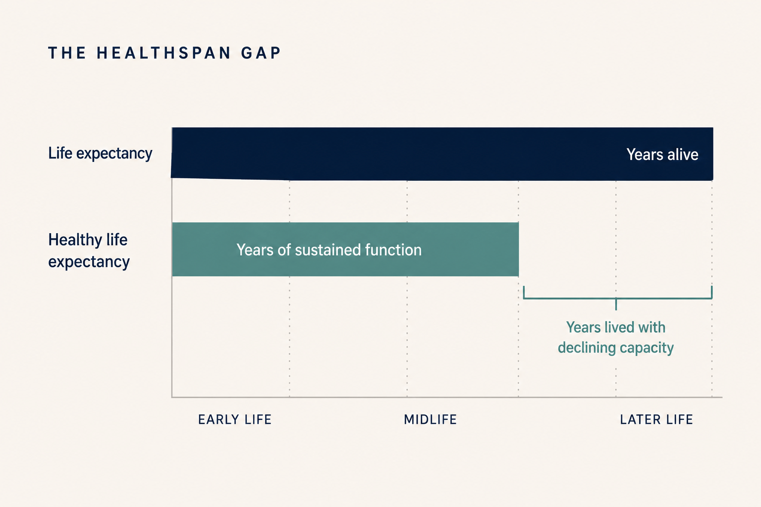 Chart comparing life expectancy with healthy life expectancy, highlighting the years lived with declining capacity between sustained function and total lifespan.