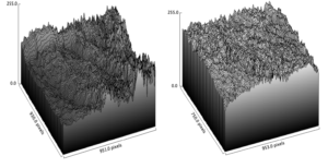 Three-dimensional skin surface maps used to analyze changes in wrinkle height, depth, and roughness.
