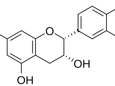 (-)-epicatechin molecule, main ingredient in Mitozz